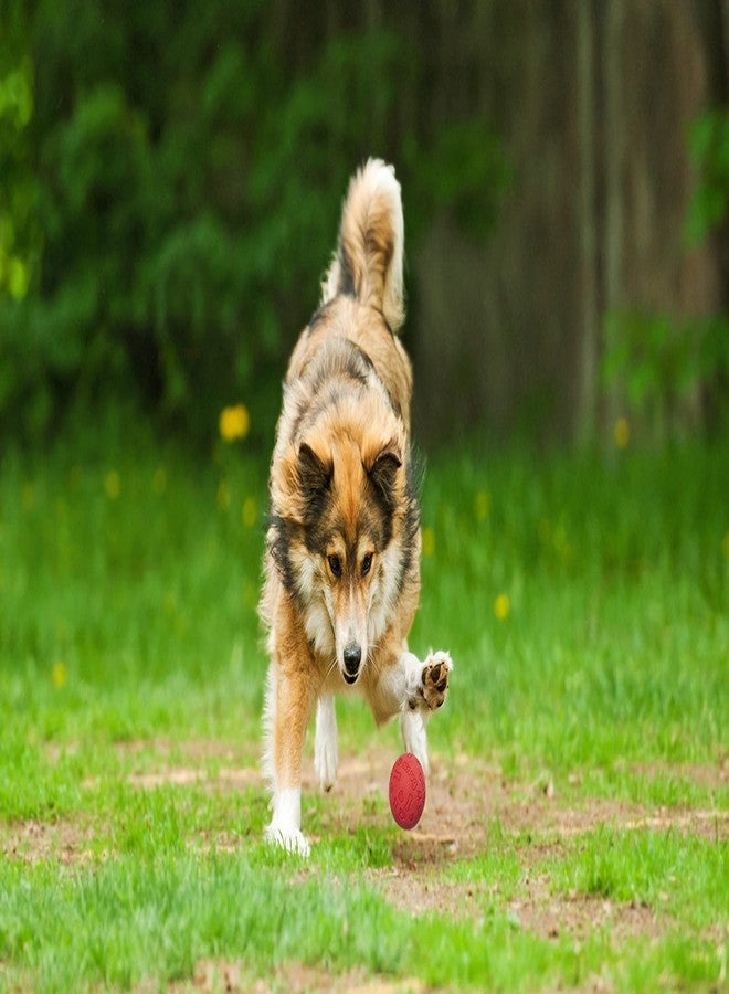 Snug Rubber Dog Balls for Small and Medium Dogs - Tennis Ball Size - Virtually Indestructible (3 Pack - Fresh) - Image 5